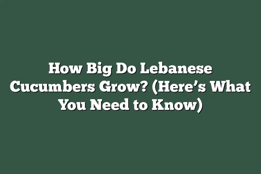 How Big Do Lebanese Cucumbers Grow? (Here’s What You Need to Know)