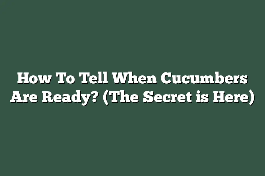 How To Tell When Cucumbers Are Ready? (The Secret is Here)