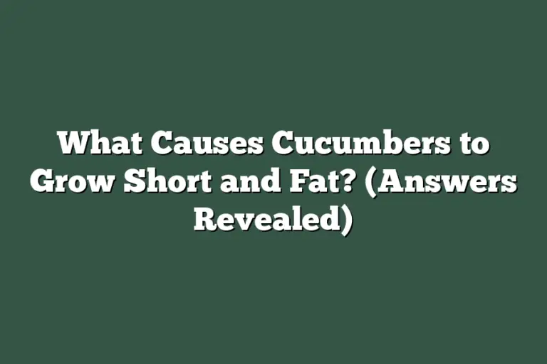 What Causes Cucumbers to Grow Short and Fat? (Answers Revealed