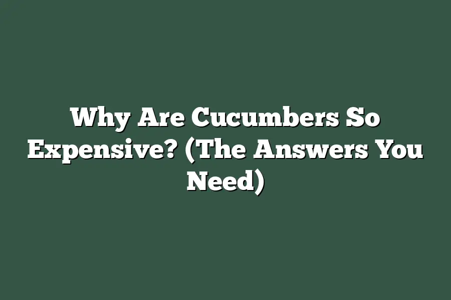 Why Are Cucumbers So Expensive? (The Answers You Need)