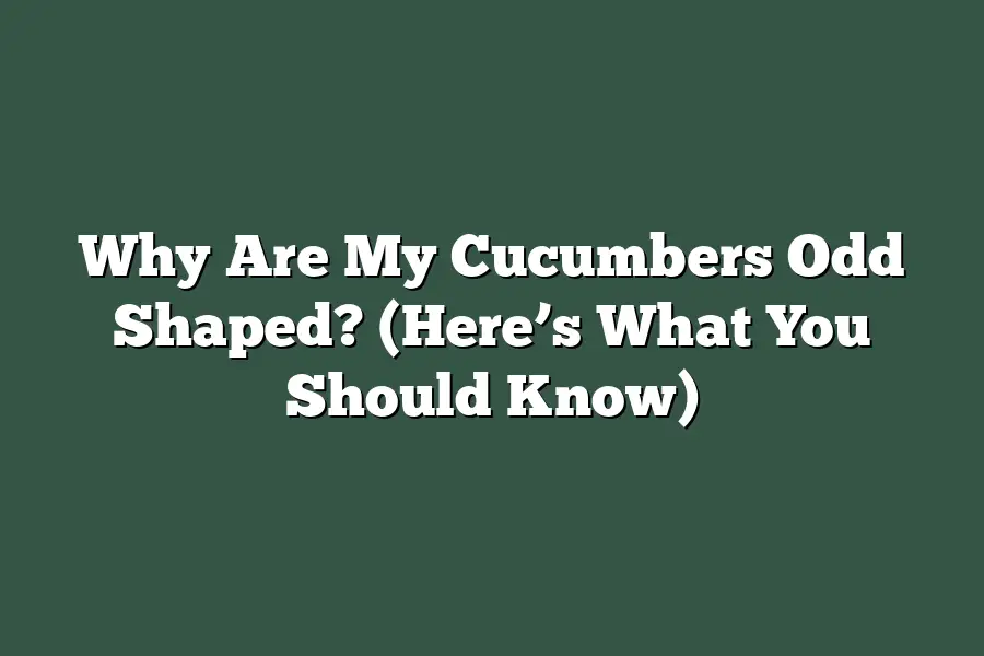 Why Are My Cucumbers Odd Shaped? (Here’s What You Should Know)