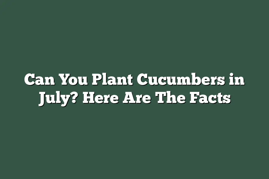 Can You Plant Cucumbers in July? Here Are The Facts