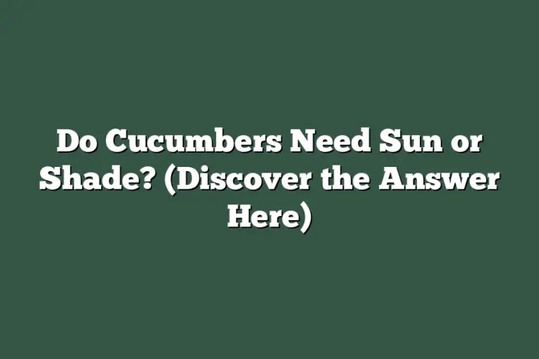 Do Cucumbers Need Sun or Shade? (Discover the Answer Here