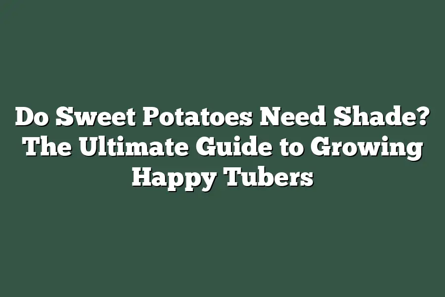 Do Sweet Potatoes Need Shade? The Ultimate Guide to Growing Happy Tubers